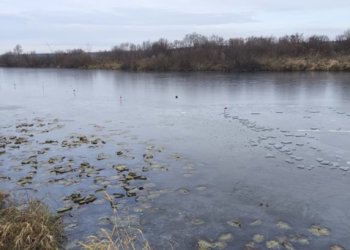 Тело мужчины вытащили из озера в Новосибирской области