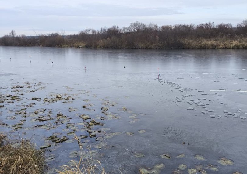 Тело мужчины вытащили из озера в Новосибирской области