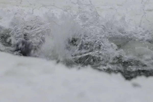 Двое детей погибли, провалившись под лед в Новосибирске