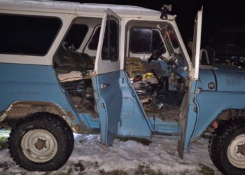 Охотника на косуль задержали в Колыванском районе Новосибирской области