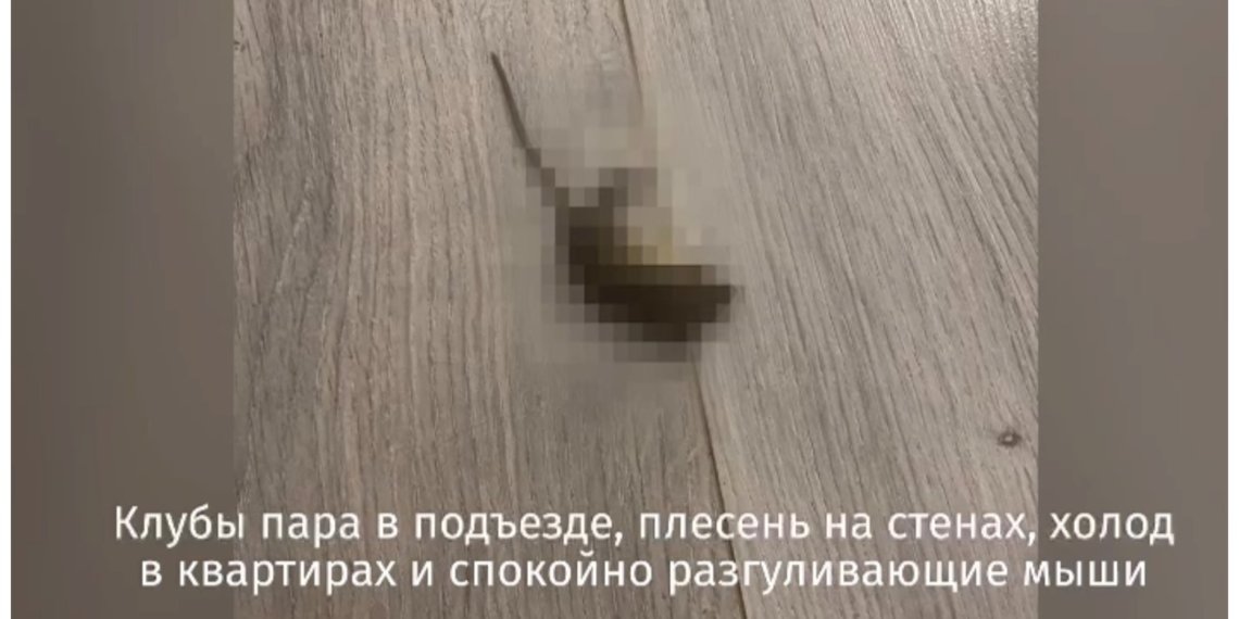 Затопленный подвал и мыши: как выживают жители шестиэтажного дома на улице Авиастроителей в Новосибирске