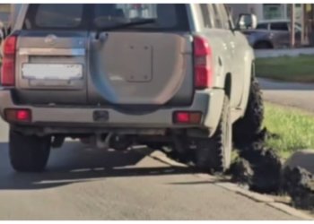 Автохам получил штраф за испорченный газон в Новосибирске