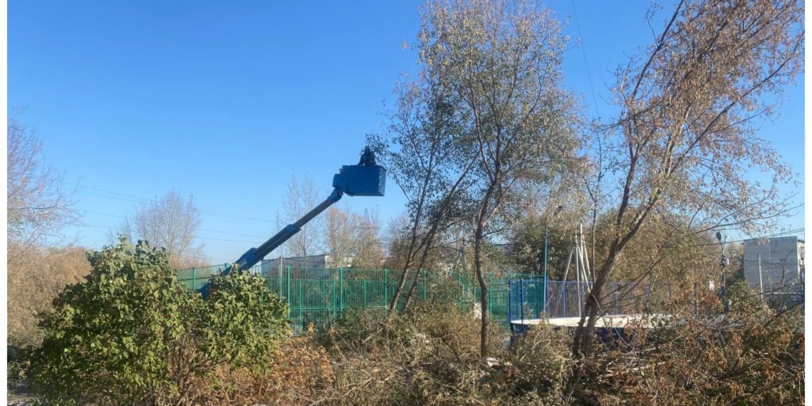 Аварийные деревья рядом со школой ликвидировали в Новосибирске