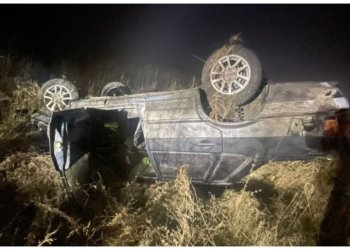 Авария на ночной трассе привела к гибели водителя