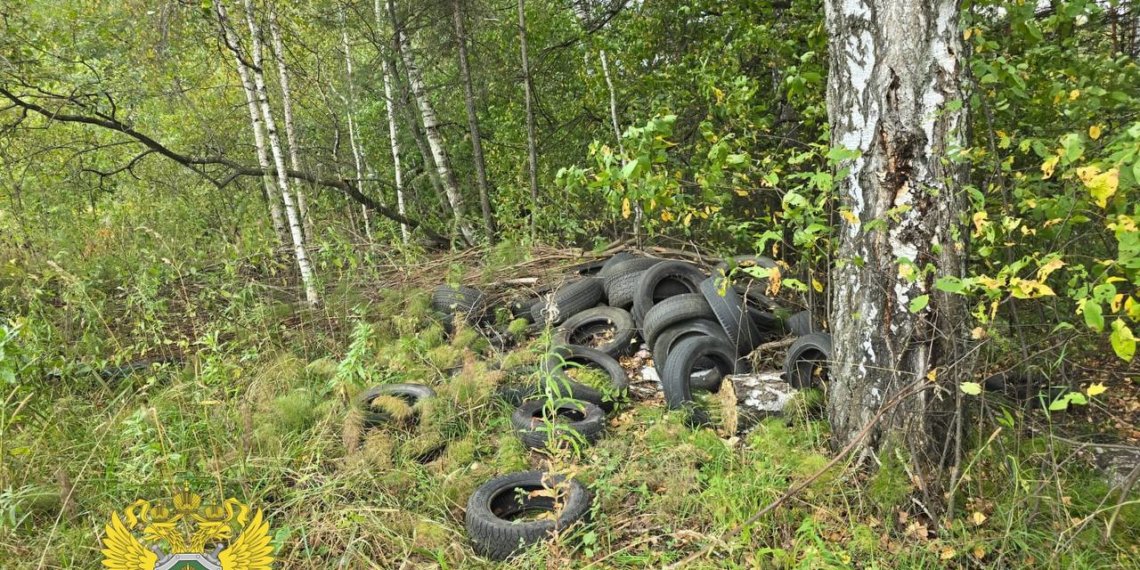 По указанию прокуратуры ликвидирована стихийная свалка в Новосибирской области