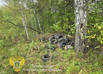 По указанию прокуратуры ликвидирована стихийная свалка в Новосибирской области