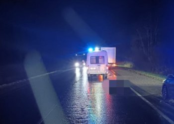 Сотрудники полиции разыскивают участника смертельного ДТП на трассе в Новосибирской области