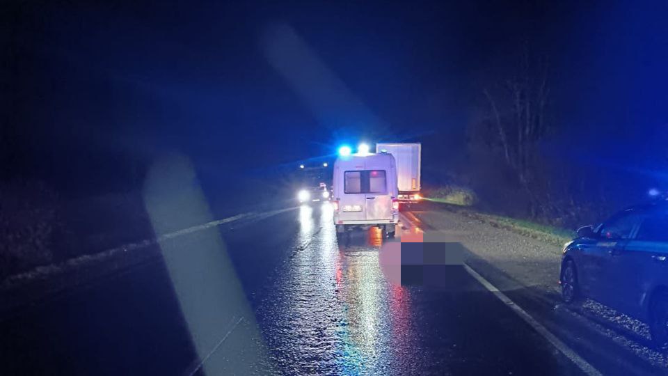 Сотрудники полиции разыскивают участника смертельного ДТП на трассе в Новосибирской области