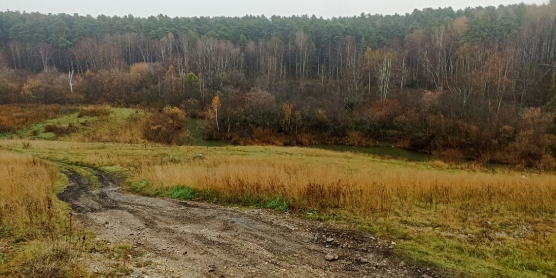 Пропавшая 19-летняя девушка найдена мёртвой в Новосибирской области