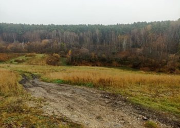 Пропавшая 19-летняя девушка найдена мёртвой в Новосибирской области