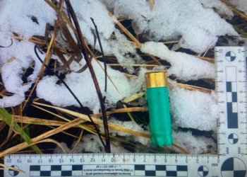 Двух охотников на лосей задержали в Новосибирской области