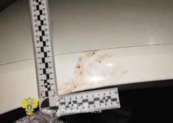 Покупатели автомобиля избили мужчину и похитили его машину в Новосибирской области