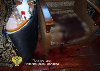 Женщина в ходе застолья зарезала свою знакомую в Новосибирской области