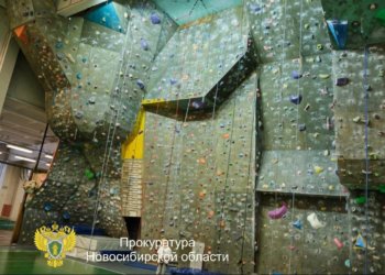 Вынесен приговор за смерть новосибирца на скалодроме