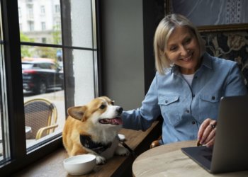 В Госдуме предложили запретить собакам посещать кафе и магазины