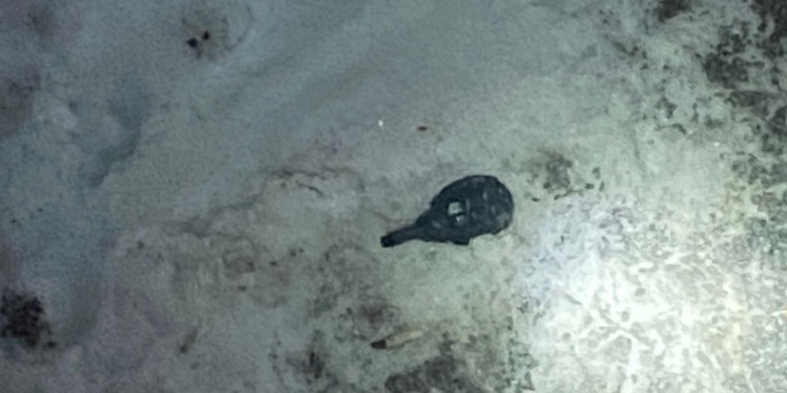 Медсестра выбросила гранату из окна больницы в Новосибирске