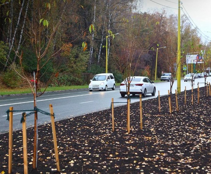 В Советском районе Новосибирска завершается ремонт Университетского проспекта и масштабное озеленение