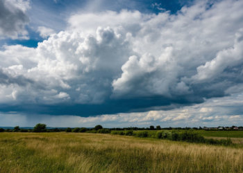 Пасмурно и холодно: погода в Новосибирске на День народного единства