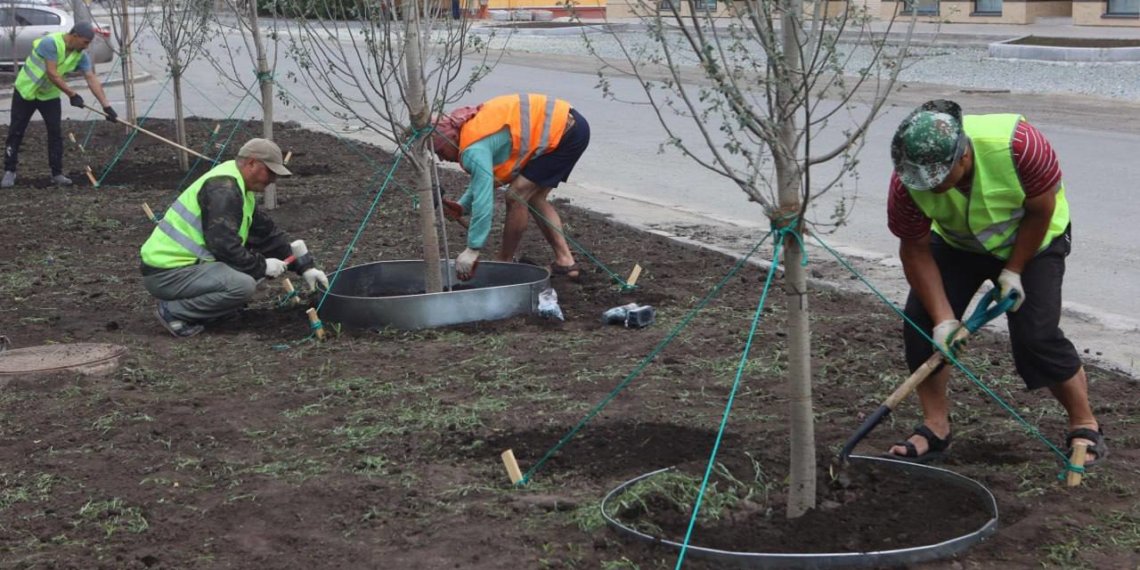 Мэр подвел итоги года озеленения по программе «10 тысяч деревьев» в Новосибирске