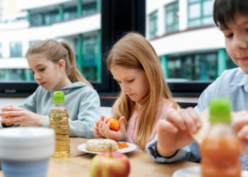 Перчатки, маркировка и образцы: какие новые правила ждут школьные столовые Новосибирска