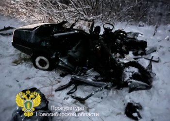 Шесть человек погибли в ДТП с фурой в Новосибирской области — среди погибших есть дети