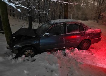 Toyota врезалась в дерево в Новосибирске: пострадали двое