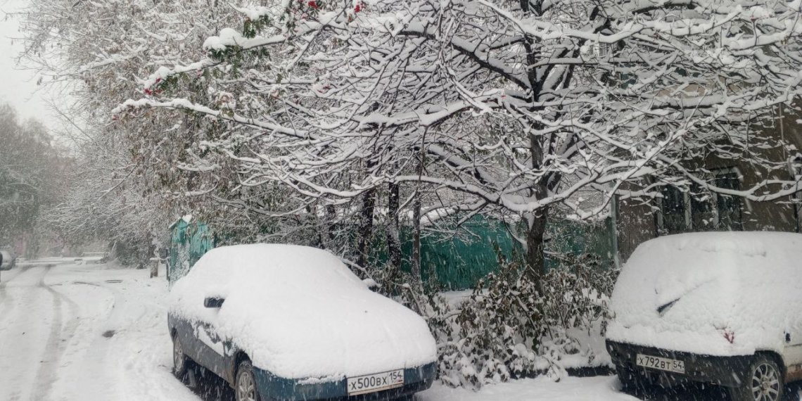 В Новосибирской области за сутки выпало 13% от месячной нормы снега