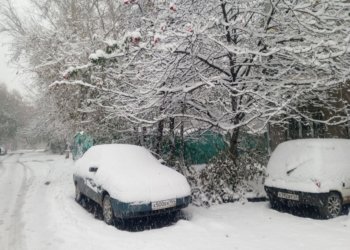 В Новосибирской области за сутки выпало 13% от месячной нормы снега