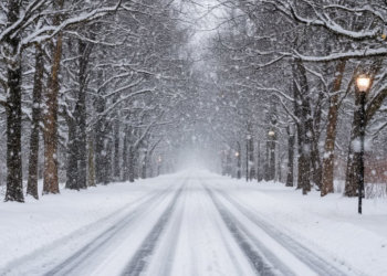 Мороз не завезли: прогноз погоды на 20 ноября