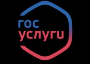 В интернет через «Госуслуги»: сотрудник «Синергии» предрекает ограничение доступа в Сеть