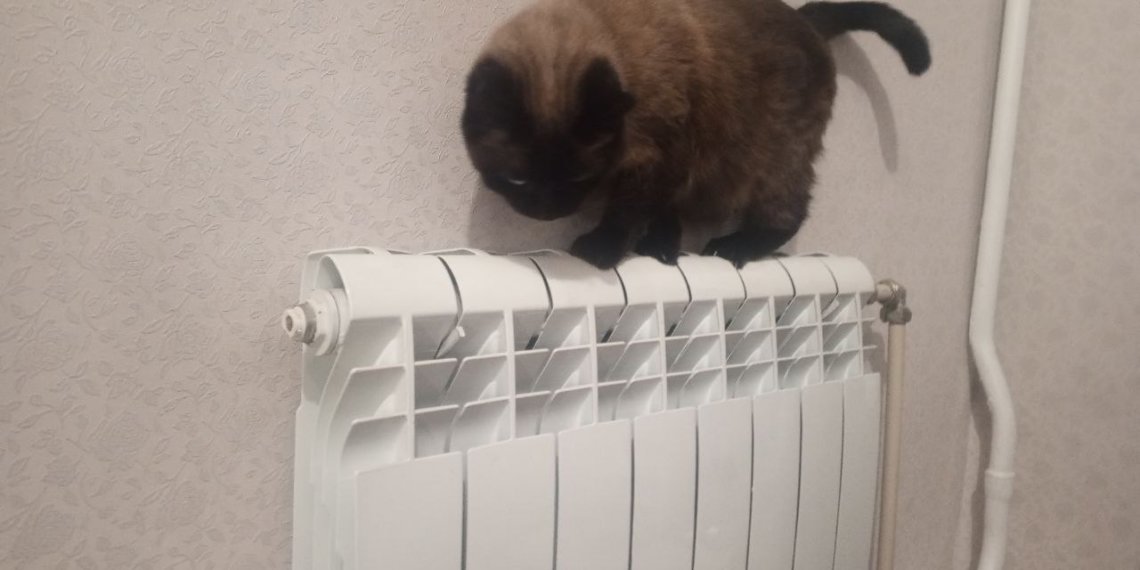 Прокуратура заинтересовалась отключением отопления в новосибирском Академгородке