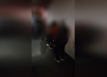 Новосибирская полиция выявила четырёх нелегальных мигрантов в одном из городских заведений