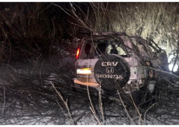 Съехал в кювет: смертельное ДТП в Новосибирской области