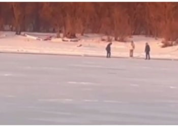 Спасатели прогнали со льда рыбака и трёх подростков в Новосибирске