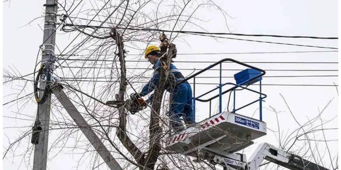 Прокуратура заставила ресурсоснабжающую компанию спилить старые ветки