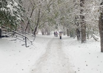 Новосибирцев пугают декабрьскими морозами до —40°C, но есть нюанс: смотрим в прогноз