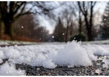 Приятный день в Новосибирске: погода 26 ноября
