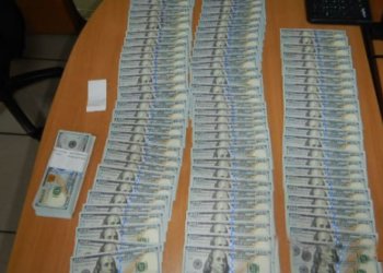 Служебная собака сорвала попытку вывезти 20 тысяч долларов из Новосибирска