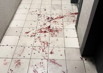 Новосибирец предстанет перед судом за убийство собственного сына