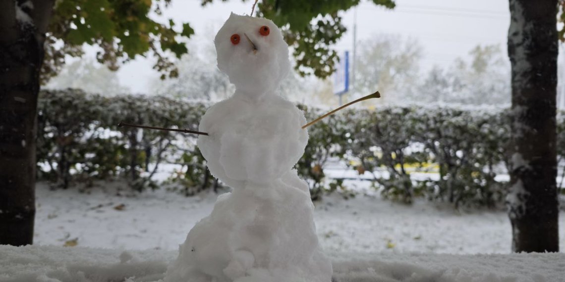 От –12 до –30: насколько холодно будет в Новосибирске в новогоднюю ночь