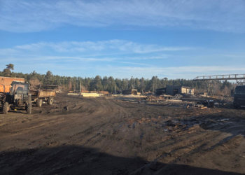 Экс-чиновника Минприроды Новосибирской области арестовали за взятку в 800 тысяч рублей